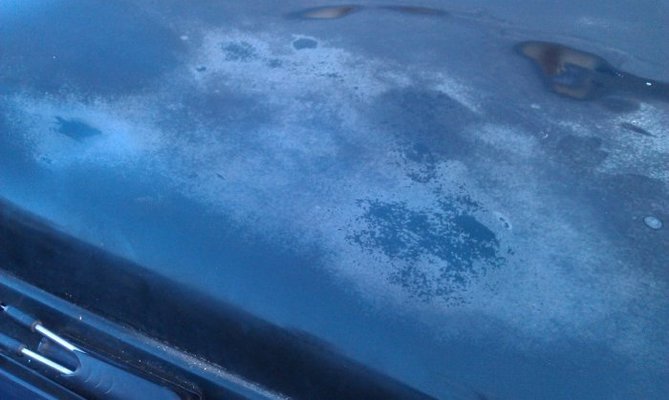How To Get Tree Sap Off Car Without Damaging Paint How To Get Tree Sap Off Car Without Damaging Paint