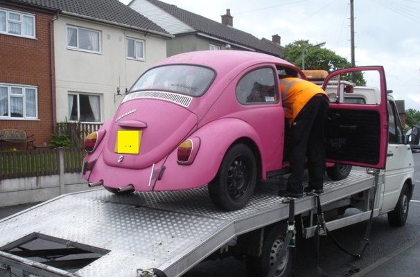 vw beetle pink lady 004.JPG