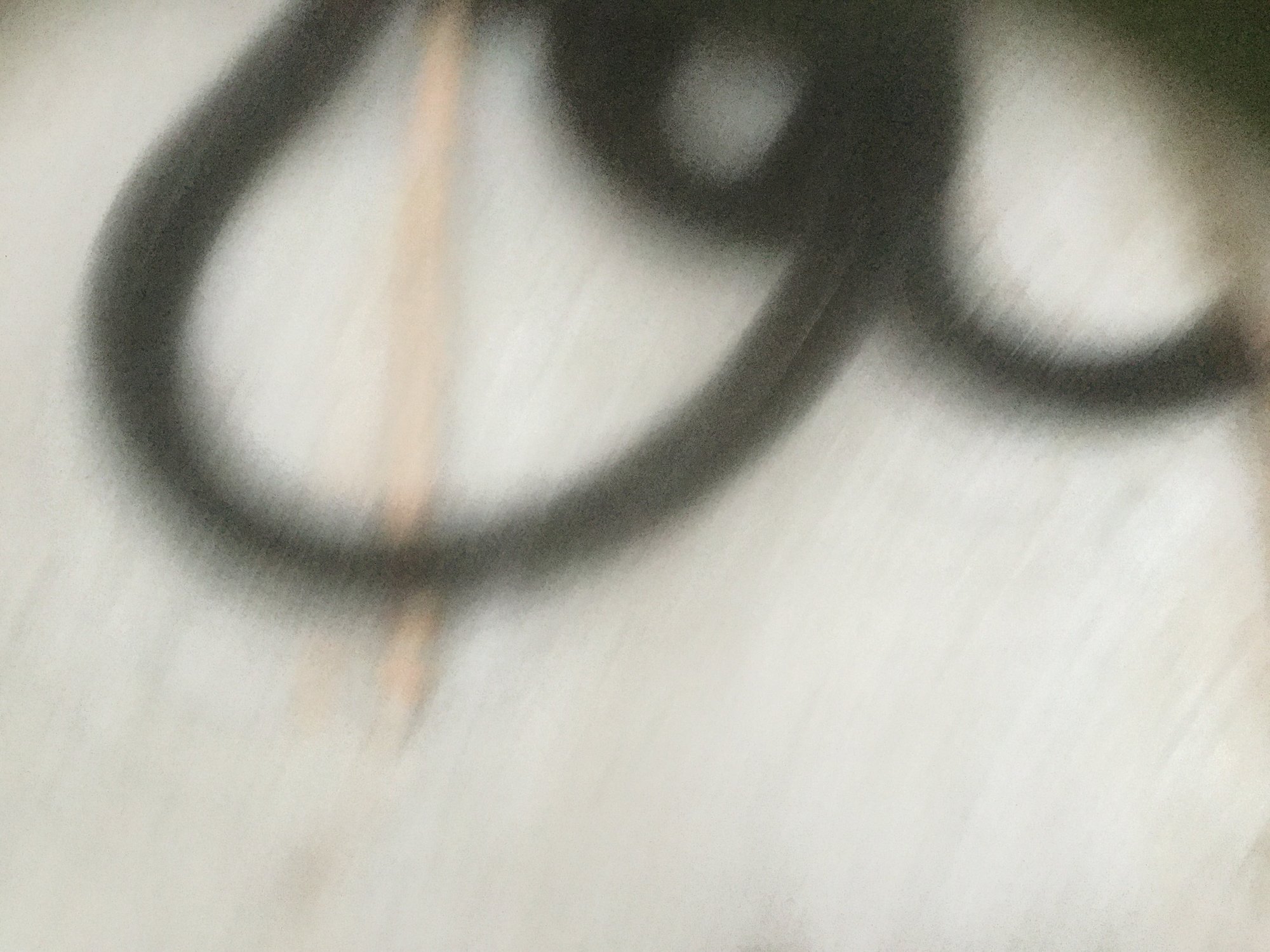 0CB596BC-8137-4A30-8DF2-6EE00AAAE581.jpeg