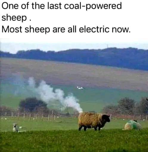 1000002367.jpg