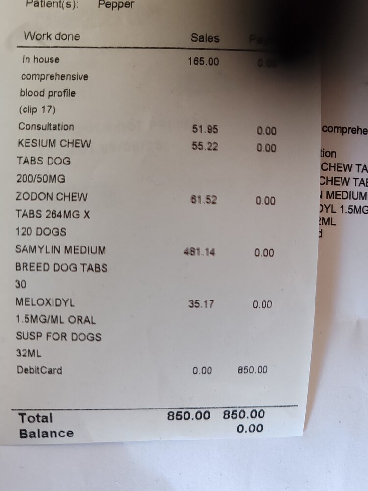 1000006953.jpg
