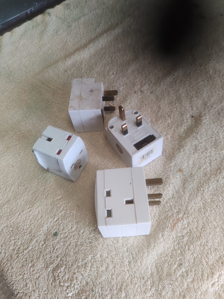 1000008051.jpg