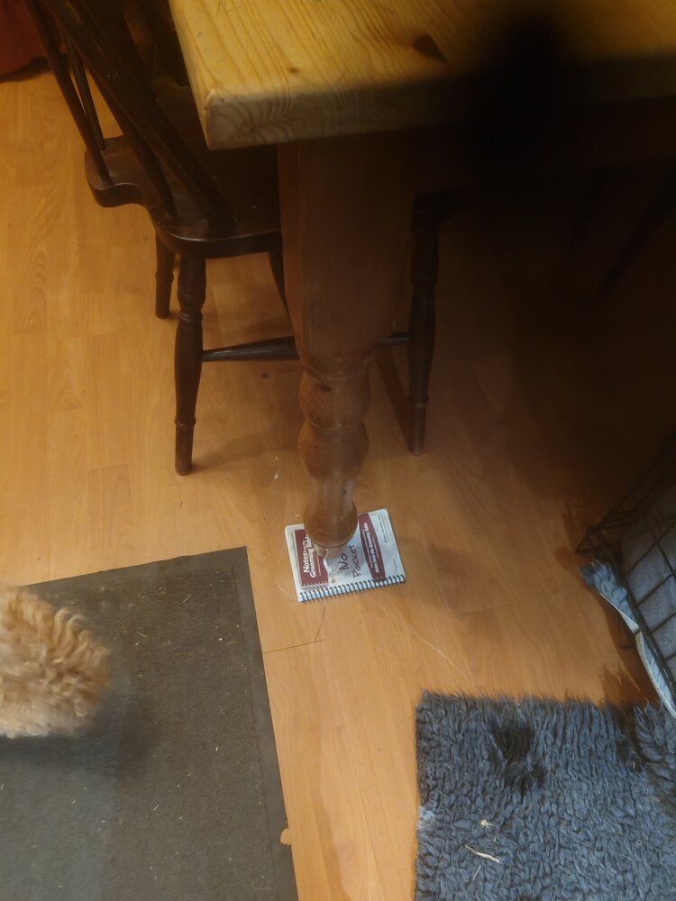 1000008358.jpg