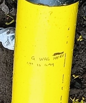 1000014497.jpg