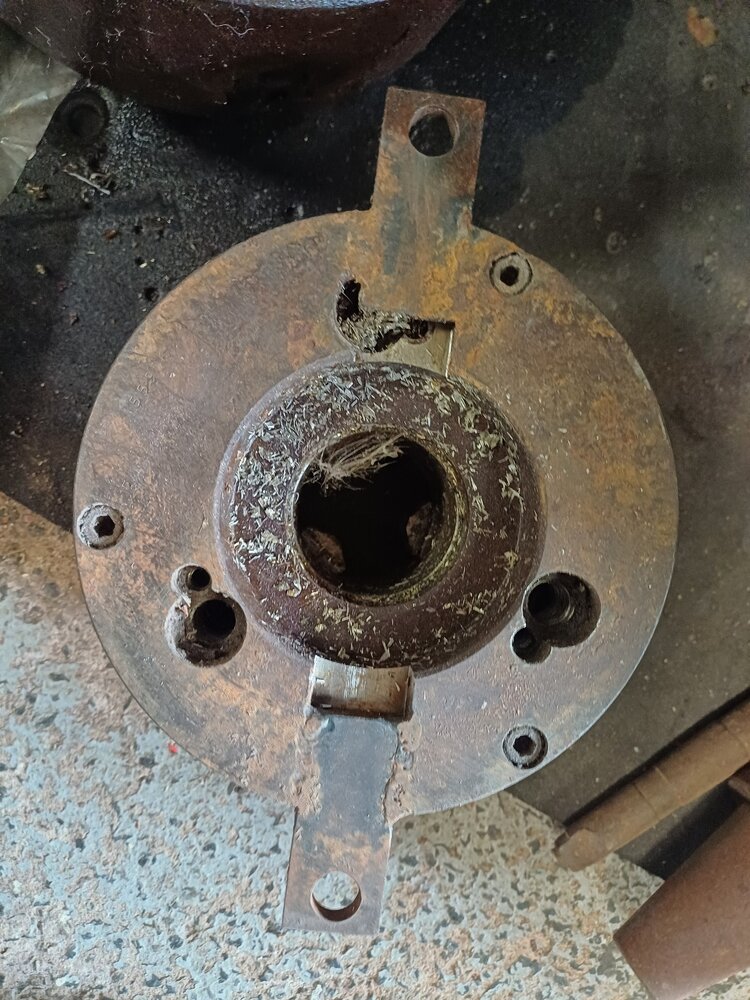 1000017016-jpg.535868