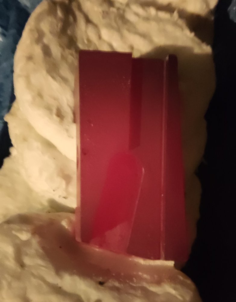 1000018062.jpg