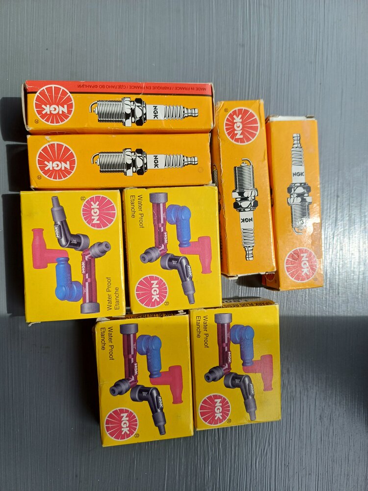 1000019008.jpg