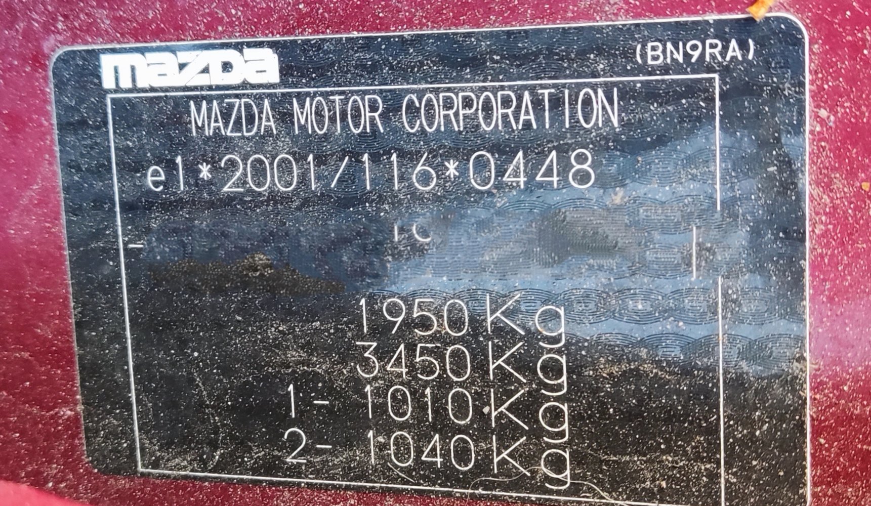 1000021082.jpg