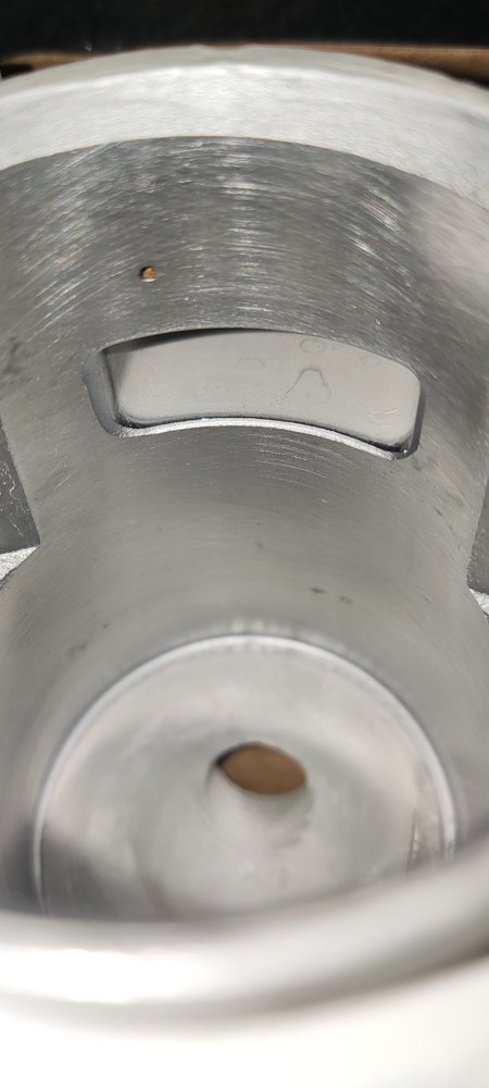 1000032484.jpg