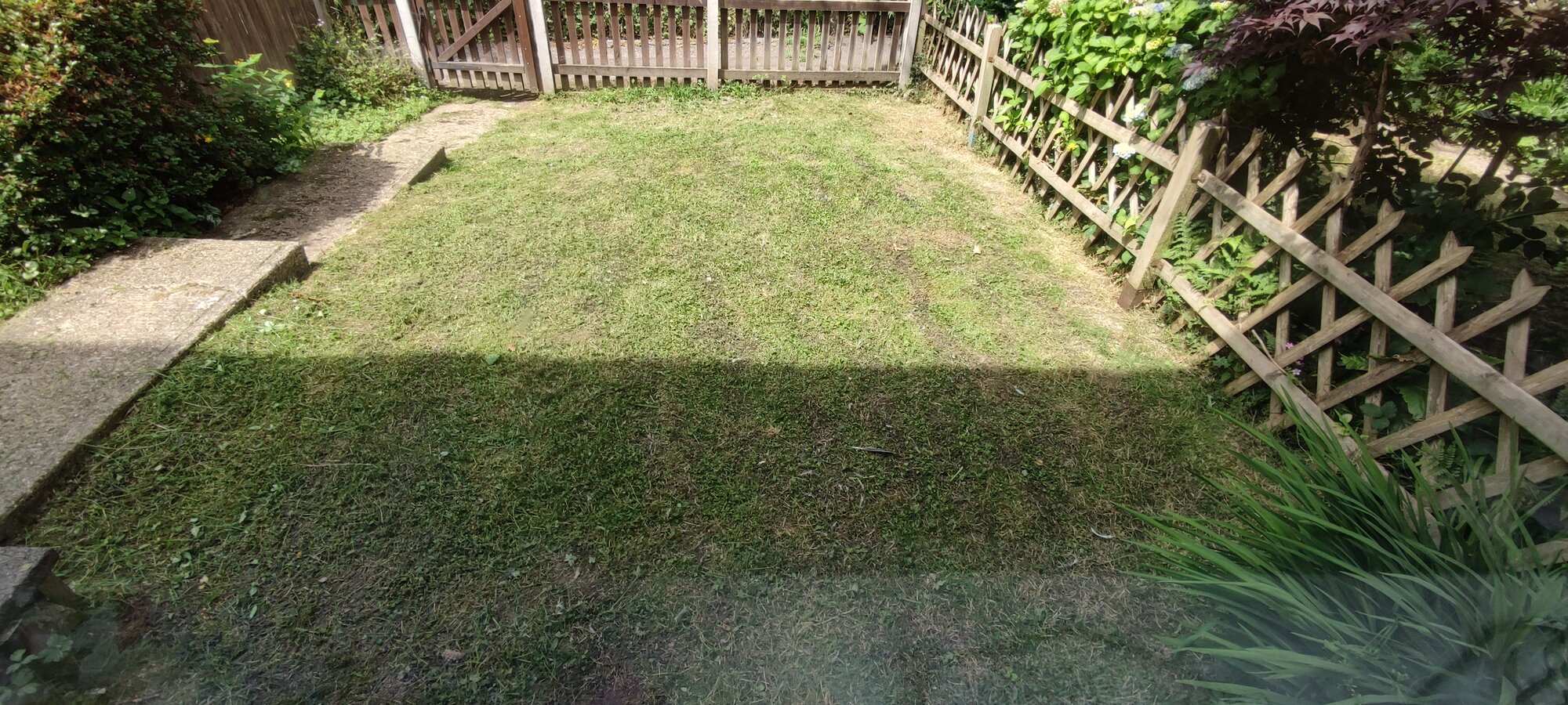 1000035547.jpg
