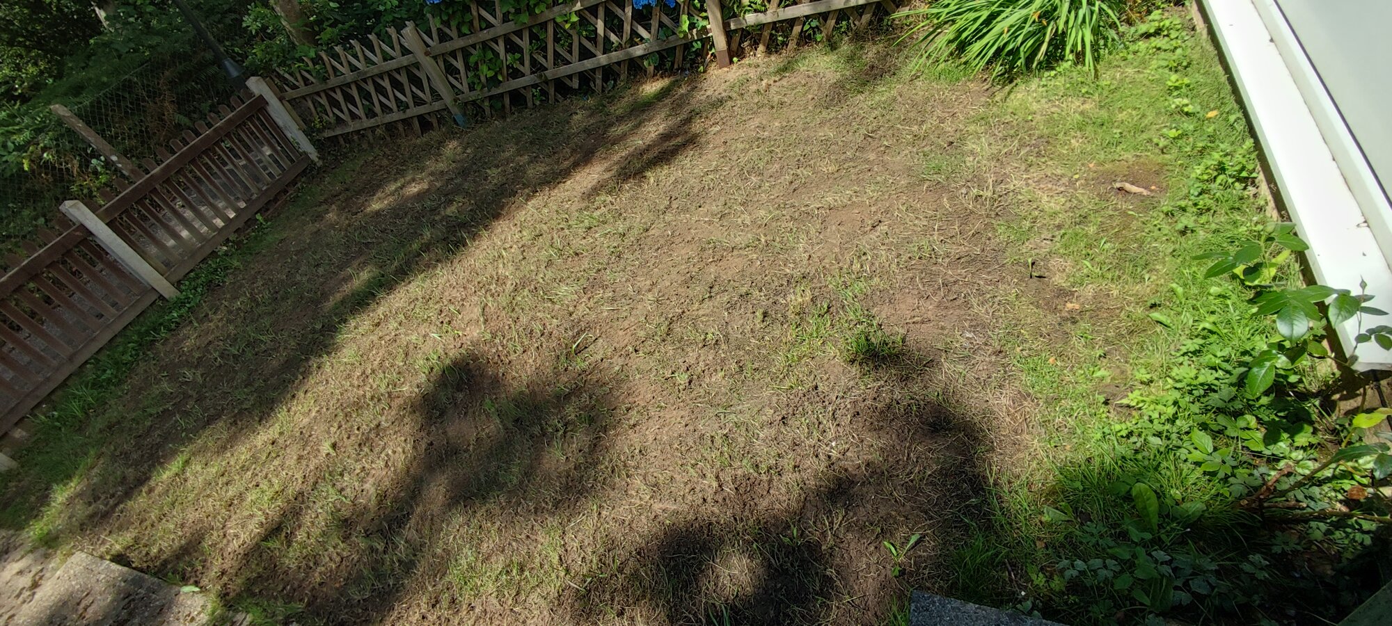 1000035969.jpg
