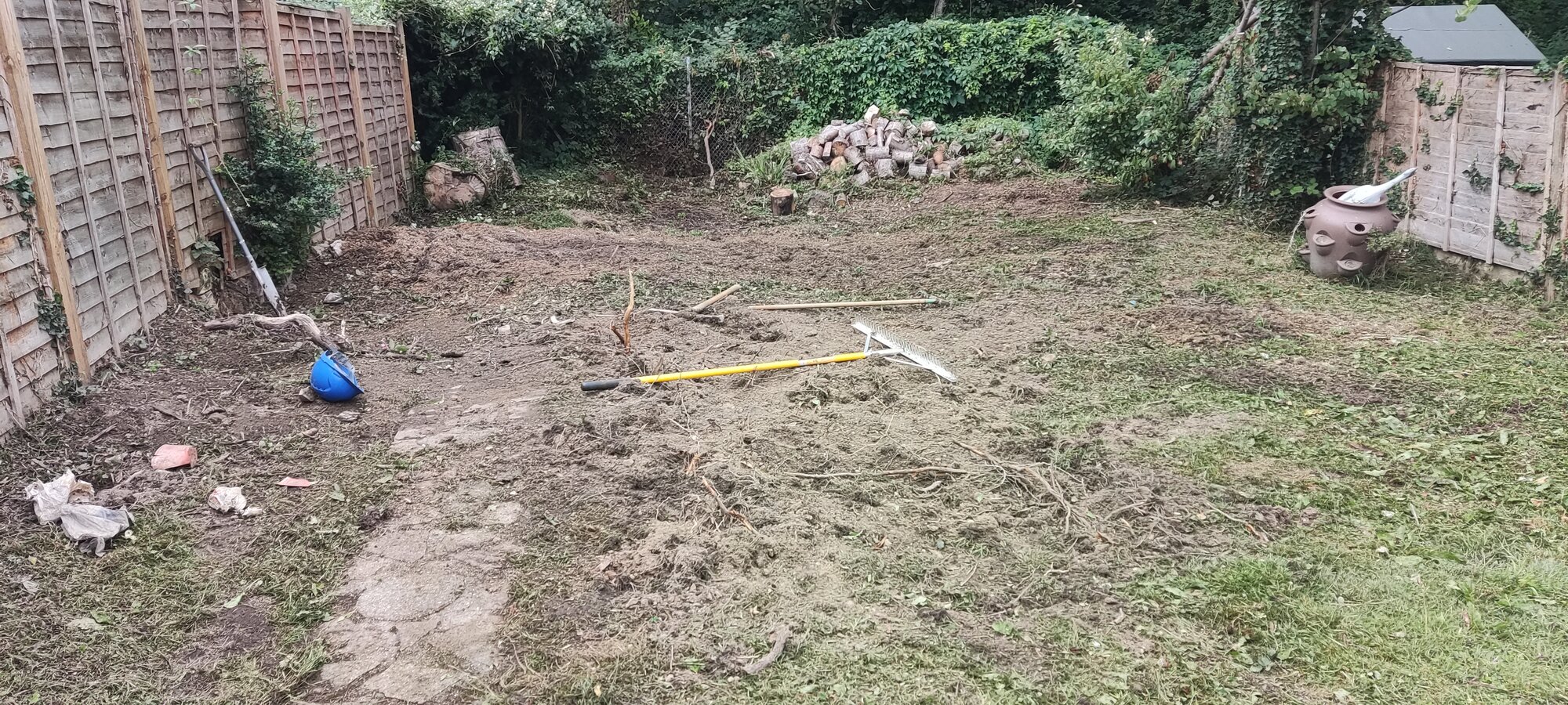 1000036259.jpg