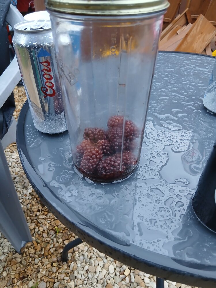 1000043306.jpg