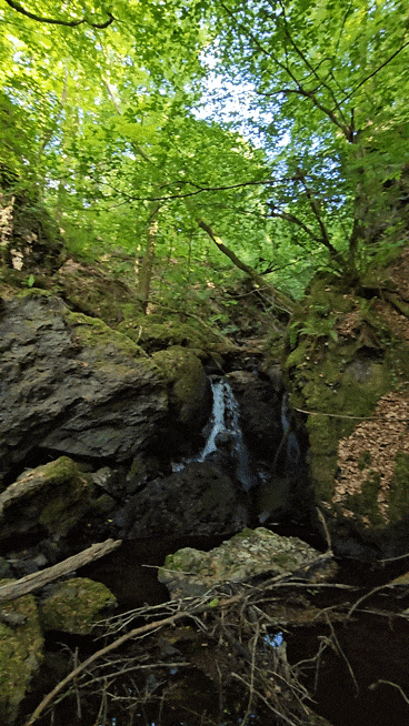 1000166492.gif