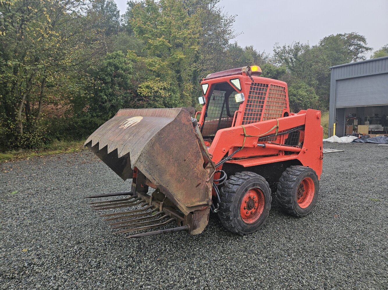 1000199497.jpg