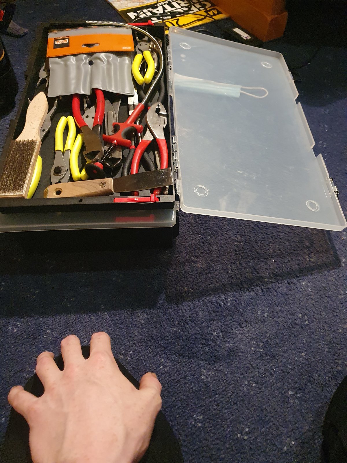 15998518300378133537355595925687.jpg