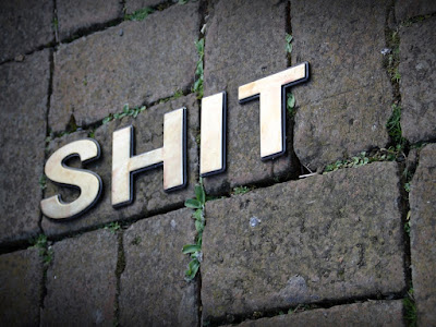 1636104388331.png