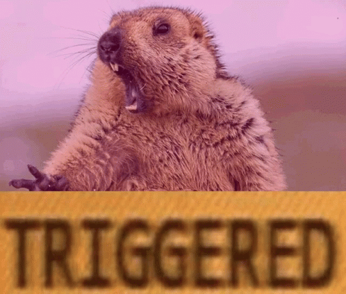 1648238645139.gif