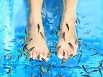 Image result for feet eating fish