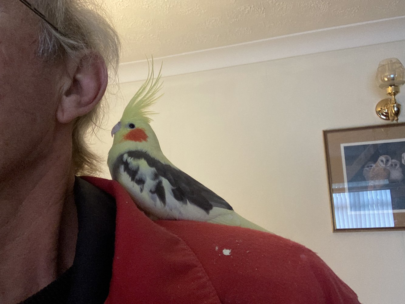 1703505171876.jpeg