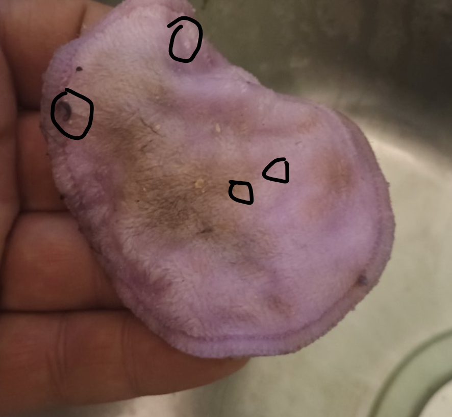 1748982171372.png