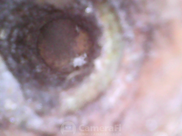 190613_171348.jpg