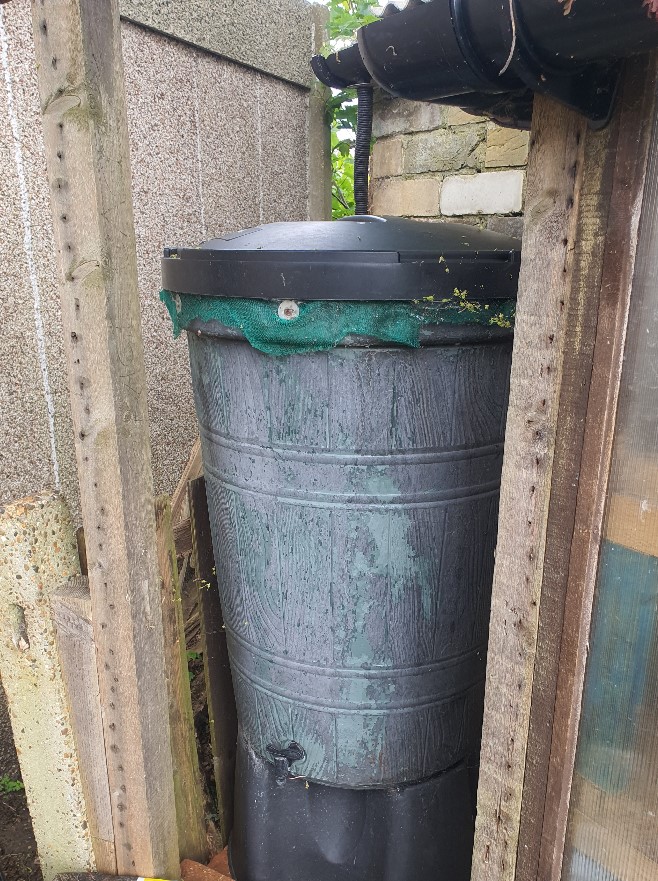 200L Water butt.jpg