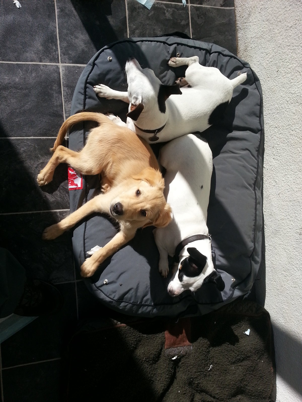 20131015_140909.jpg