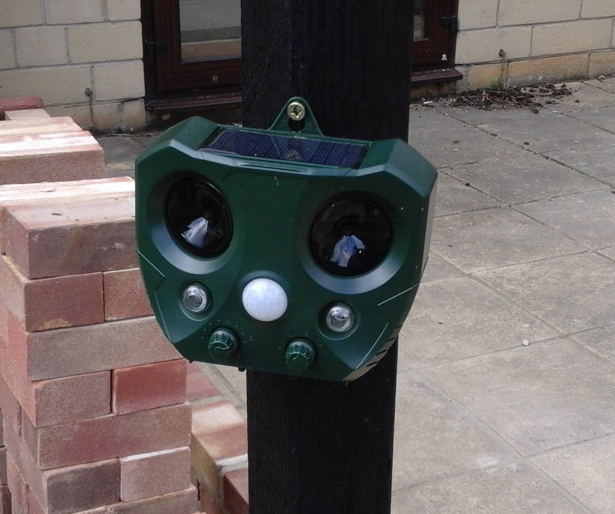 20140719_013127.jpg
