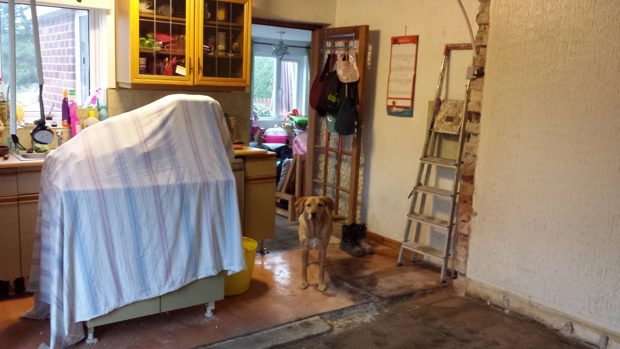 20140905_175517.jpg