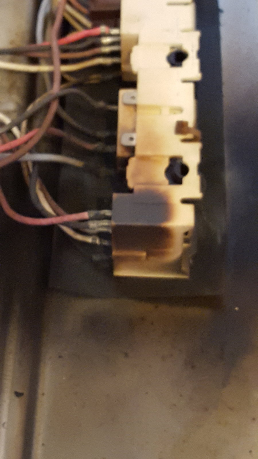20151012_145413.jpg