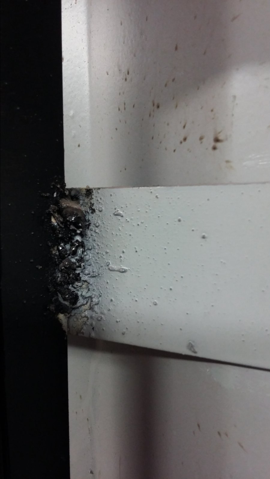 20160510_160254.jpg