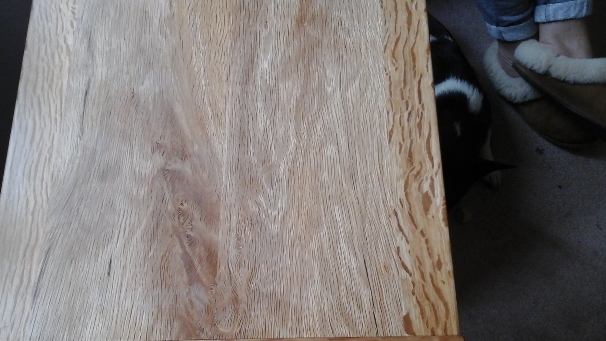 20161002_114532.jpg