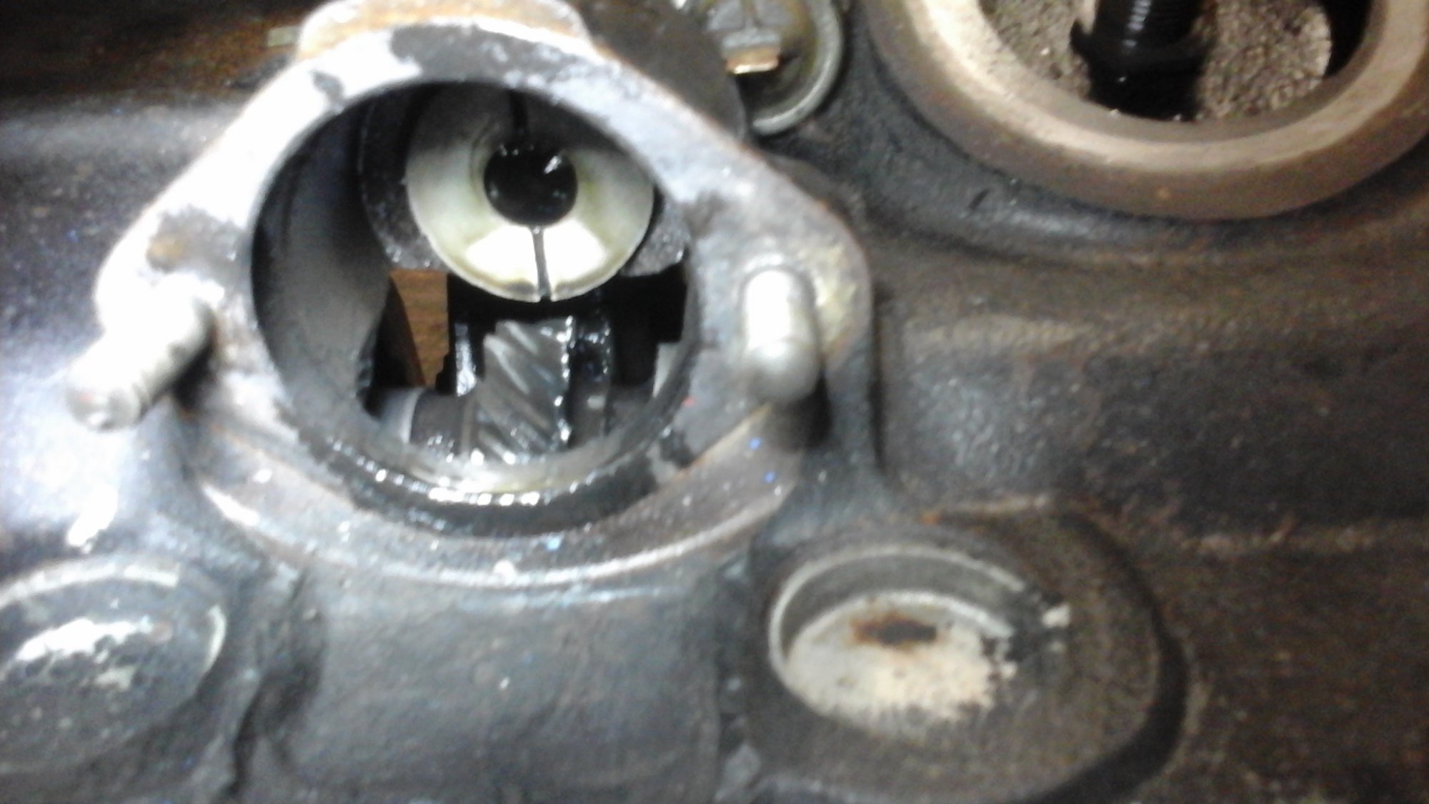 20170131_123904.jpg