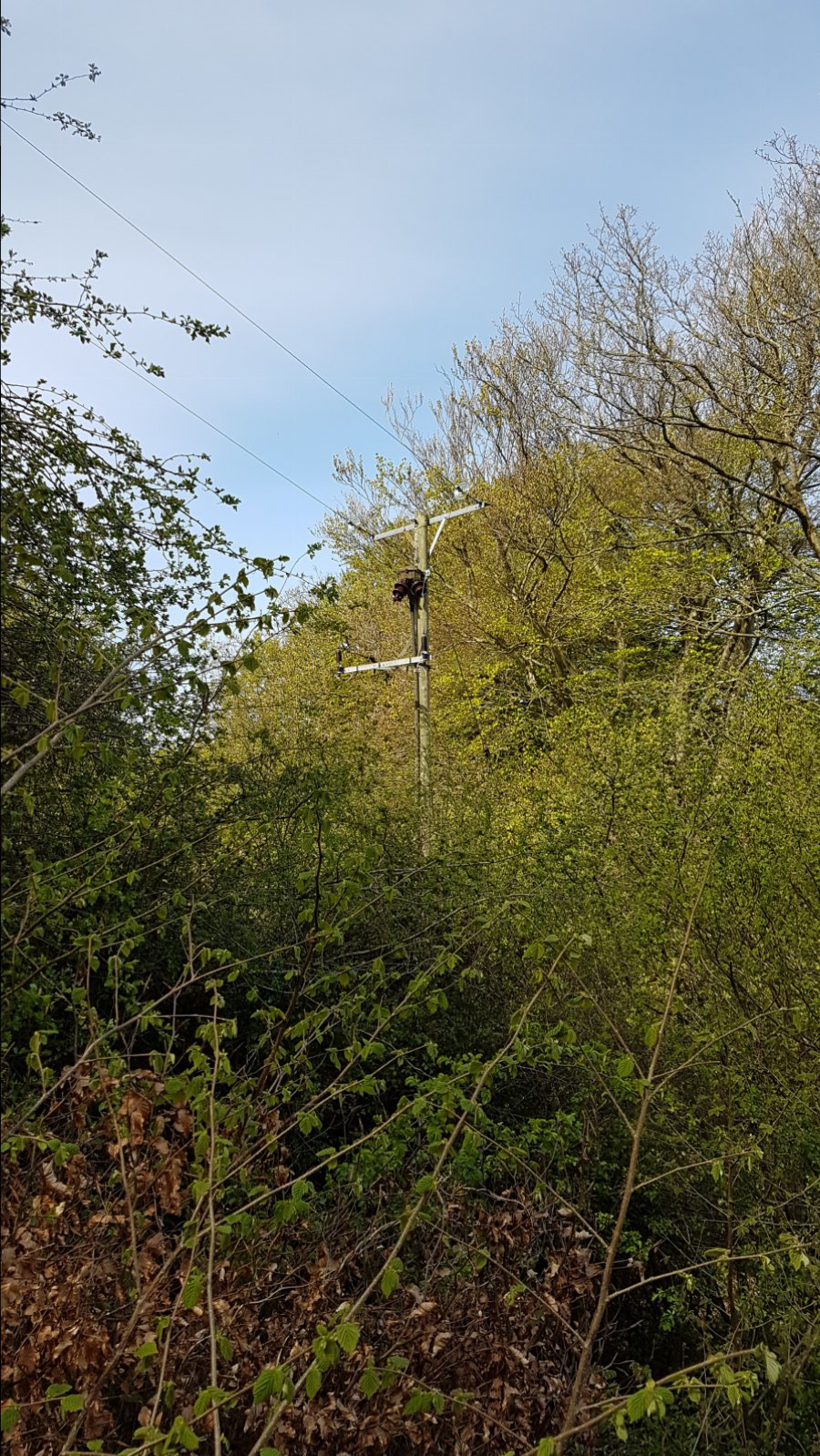 20170427_101405.jpg