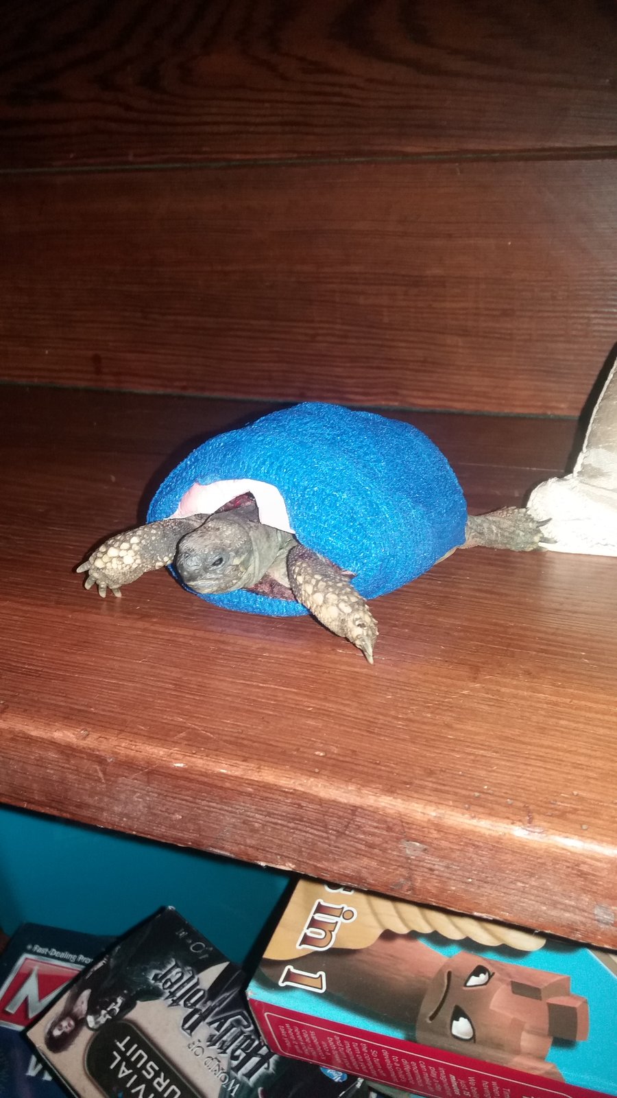 20171118_220429.jpg