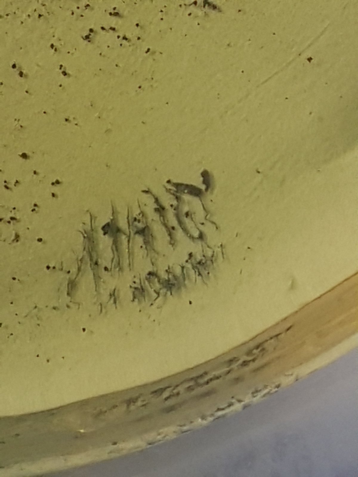 20180613_173140.jpg