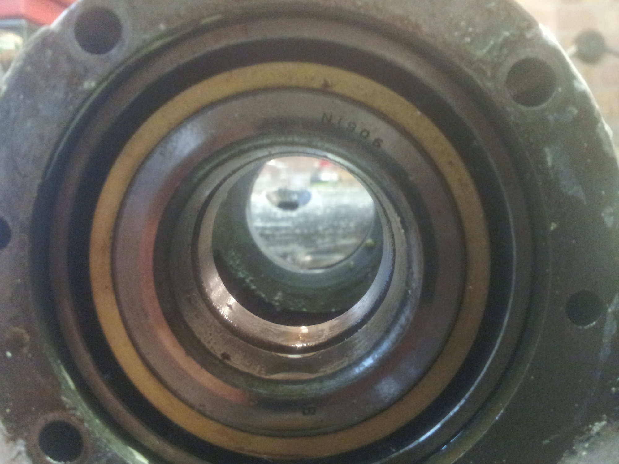 20180711_201008.jpg