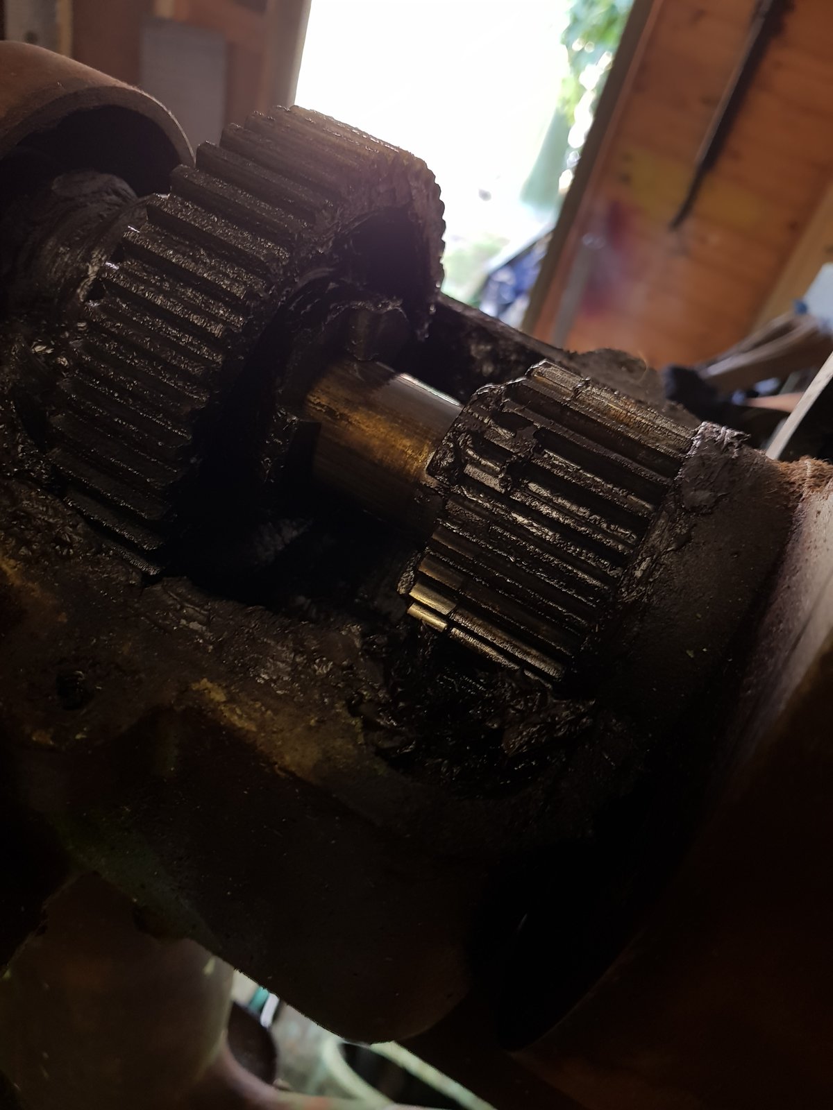 20180719_132916.jpg