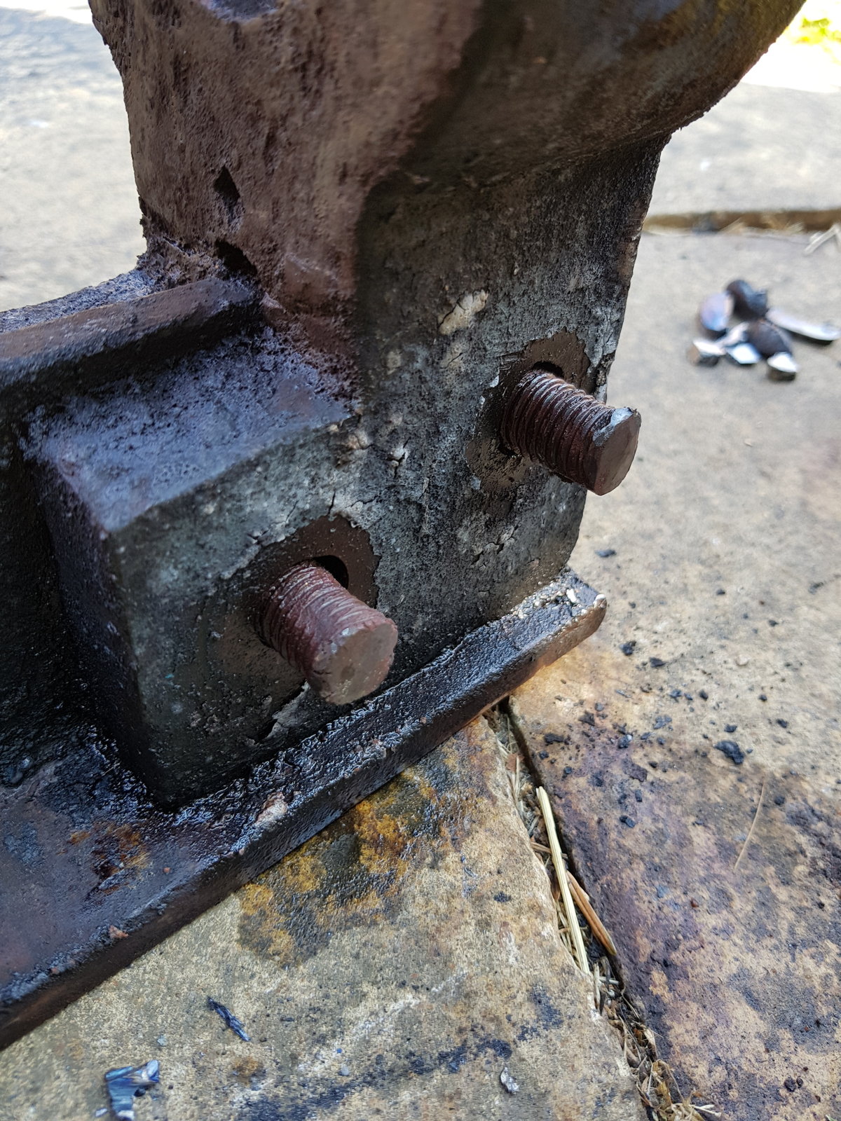 20180726_100113.jpg