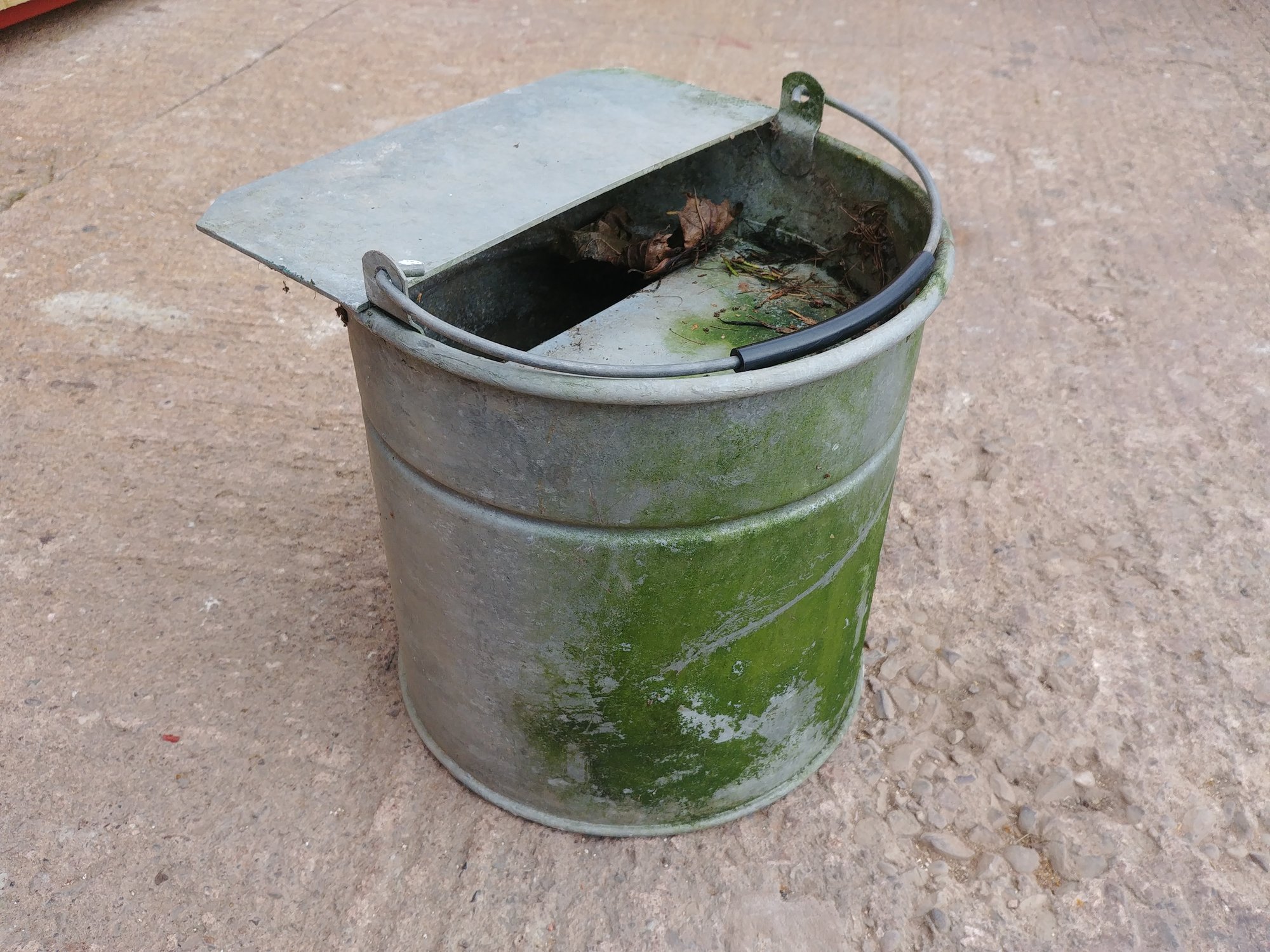 20180910_165847.jpg