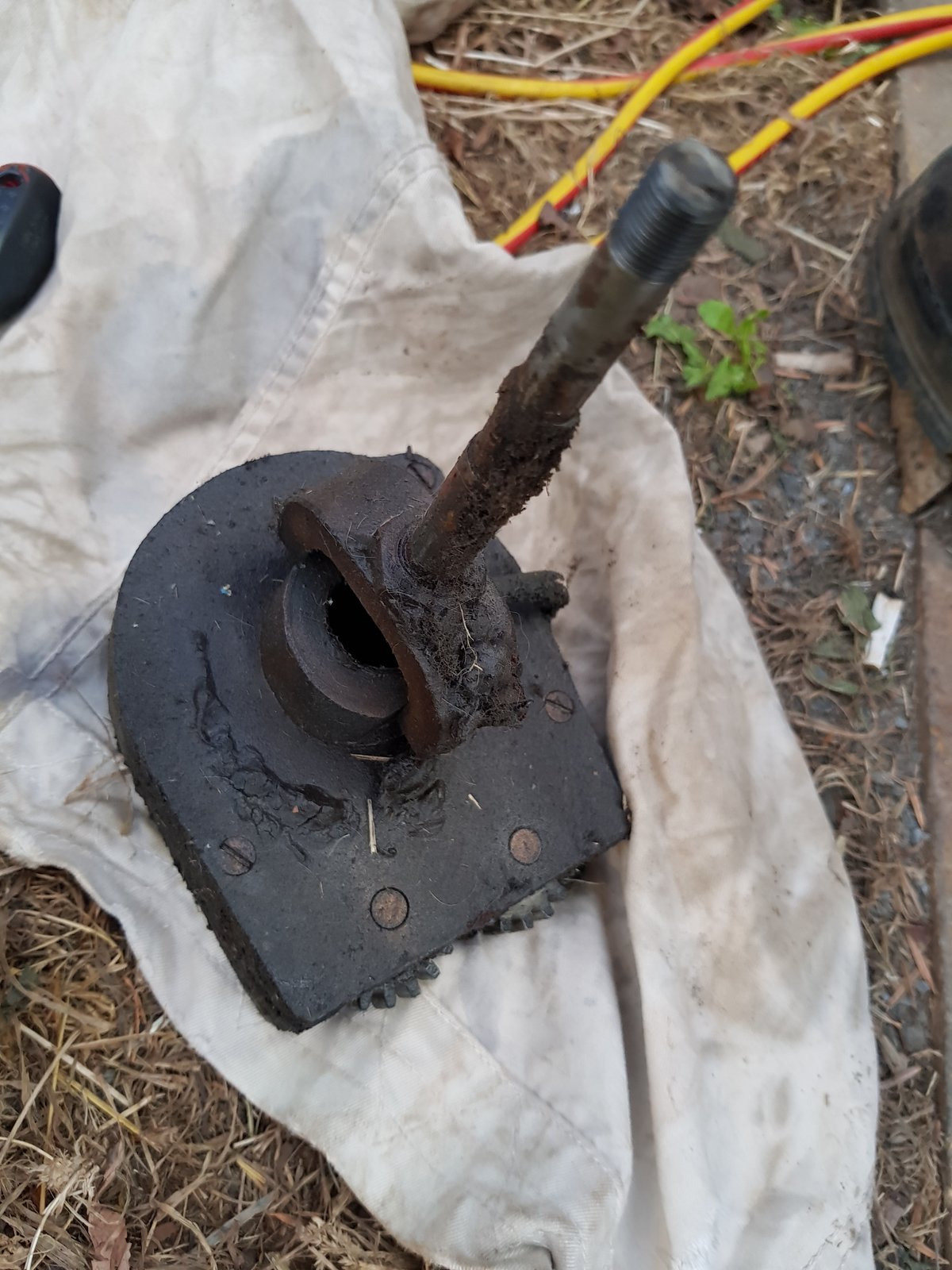 20180920_094729.jpg