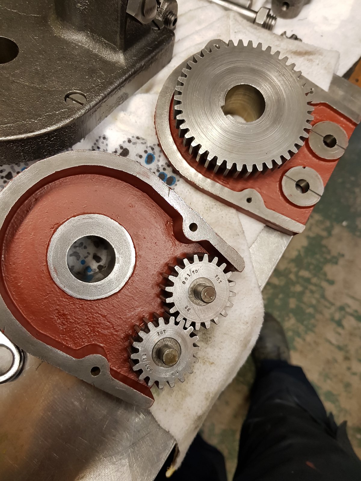 20180924_133529.jpg