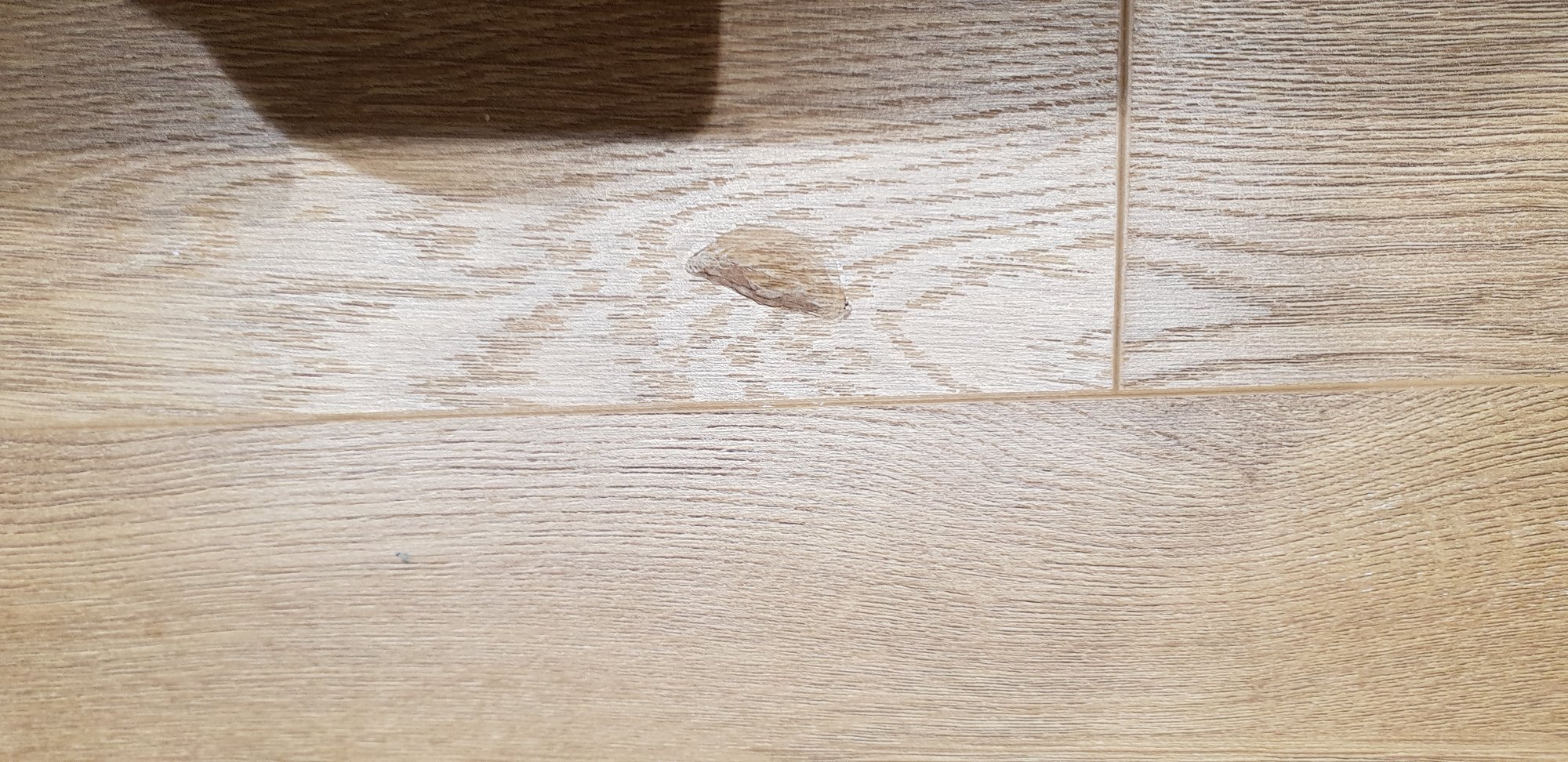 20181017_212321.jpg