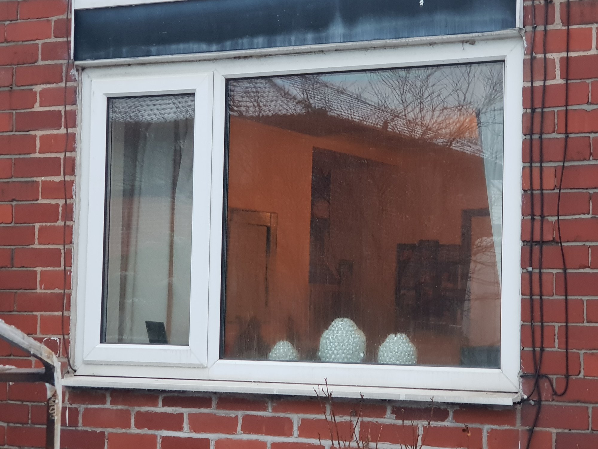 20190129_163830.jpg