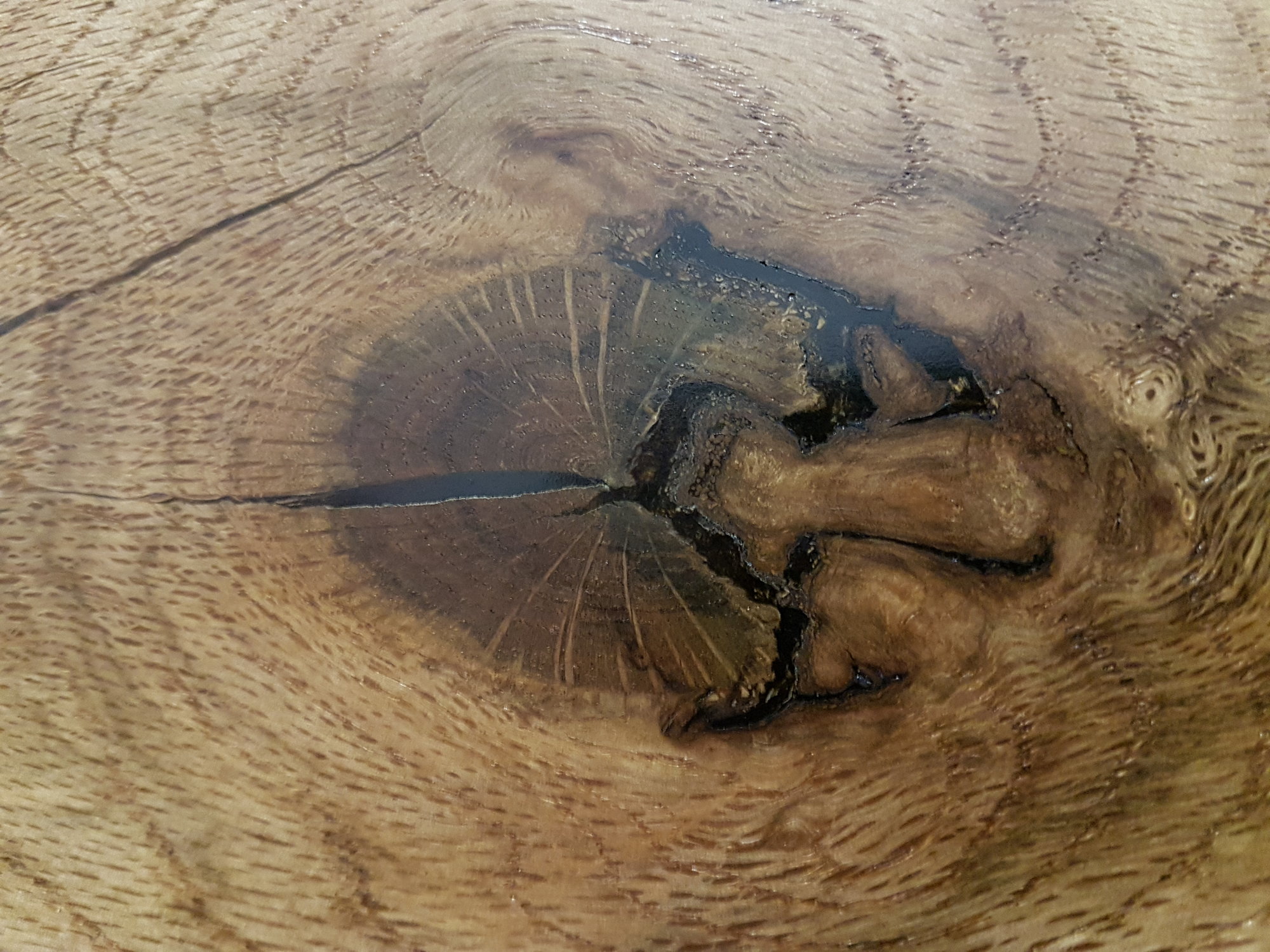 20190130_073601.jpg