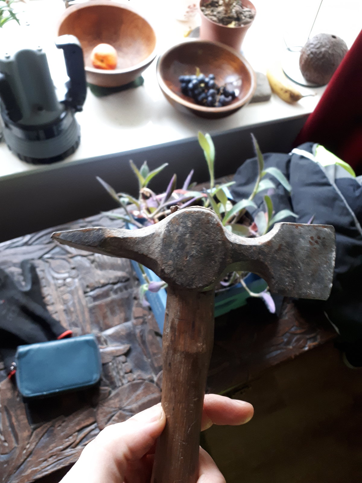 20190224_155008.jpg
