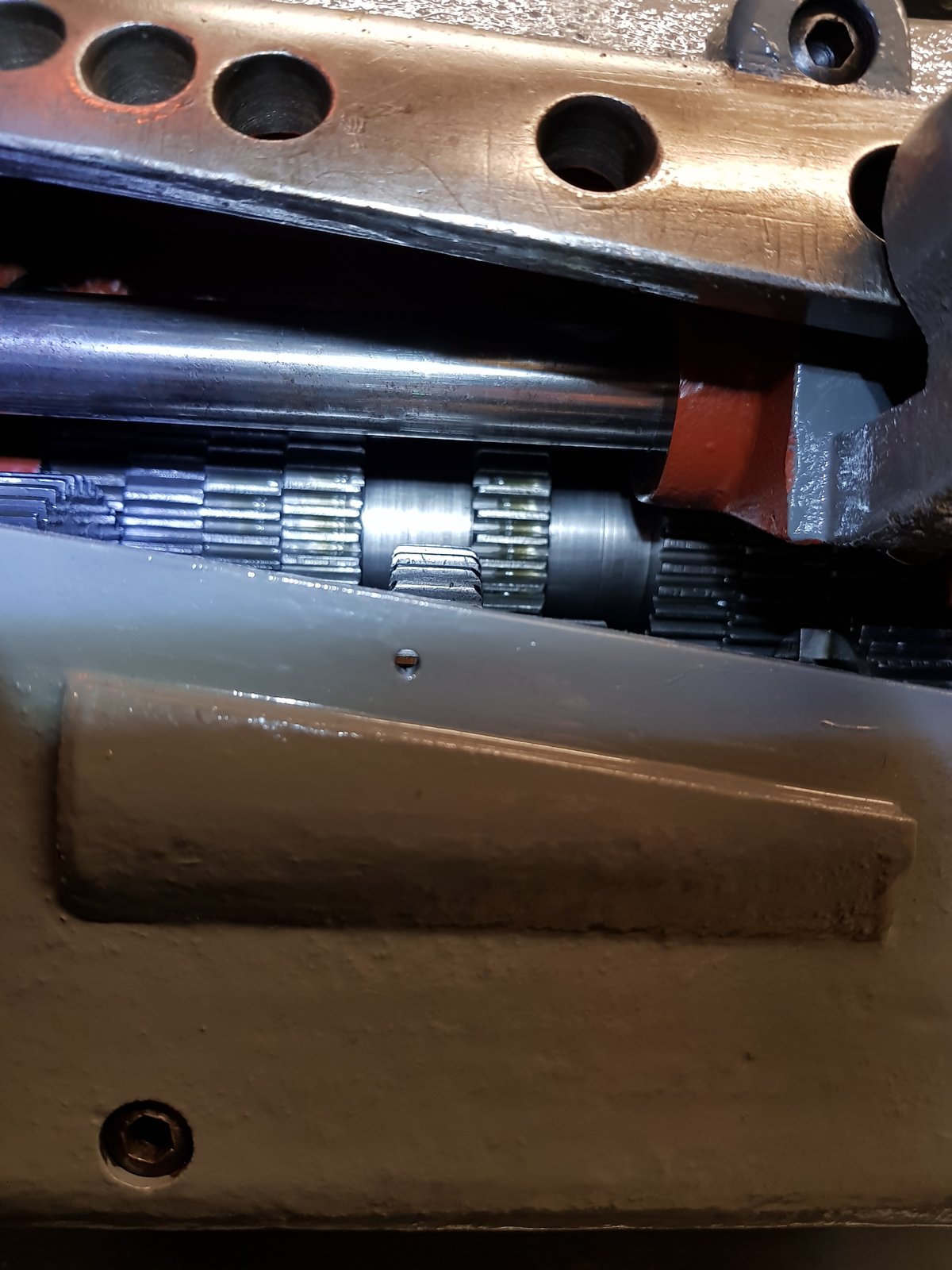 20190312_143324.jpg