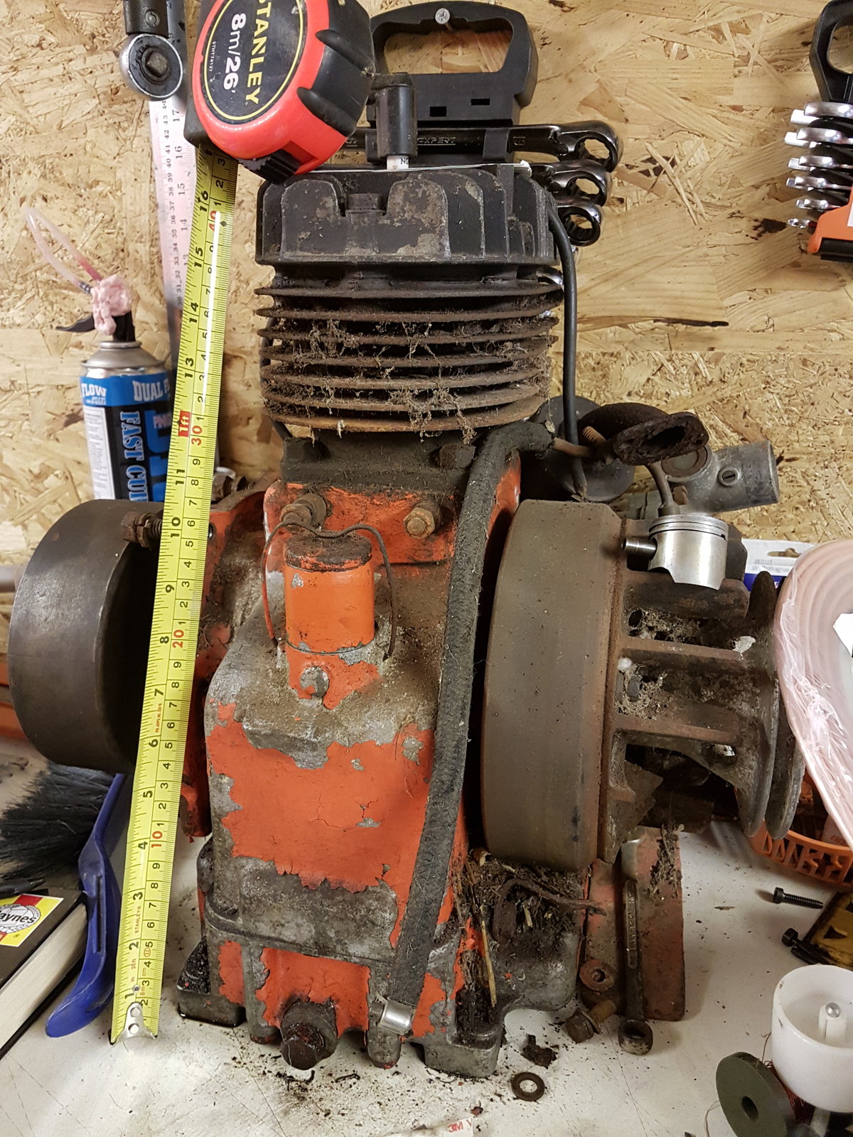 20190330_100102.jpg