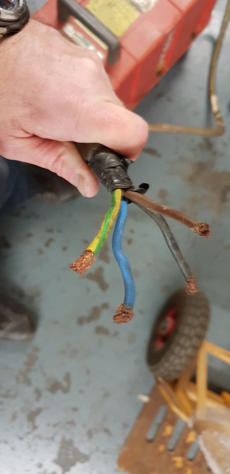 20190520_181556.jpg